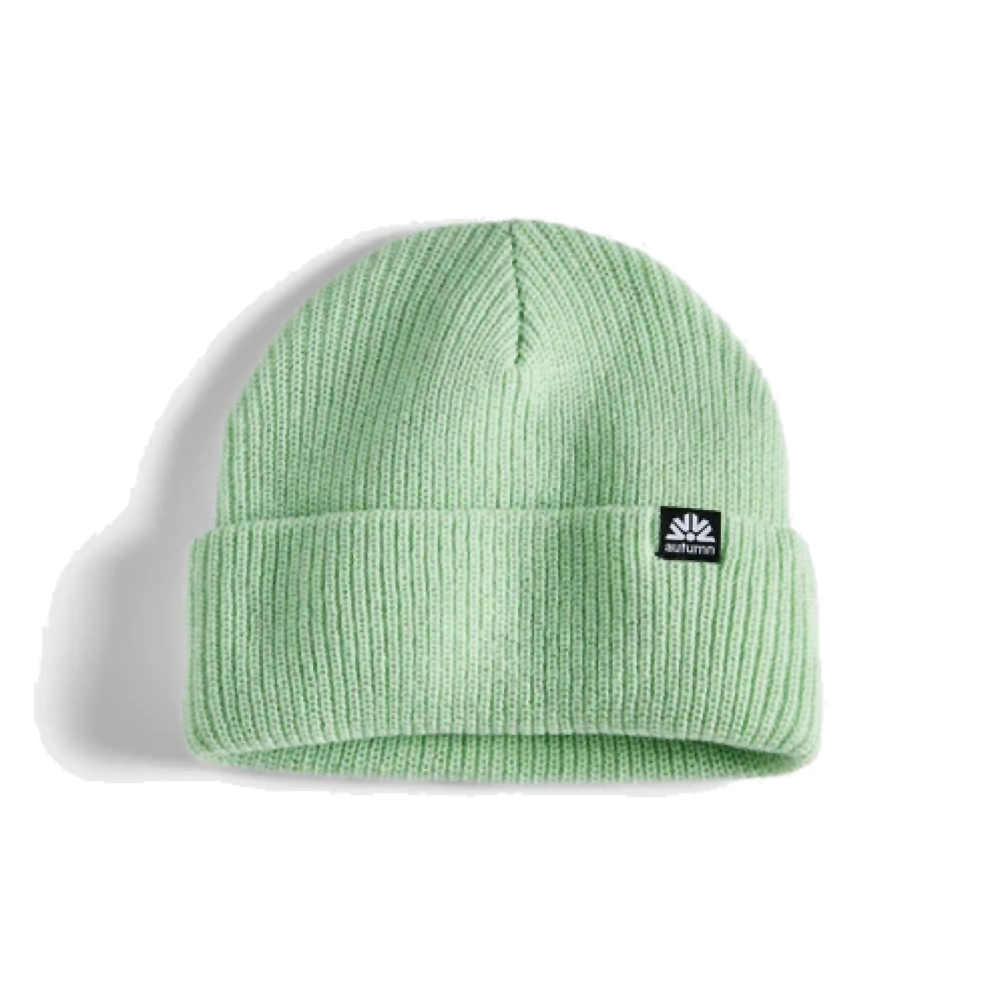 Autumn Simple Beanie