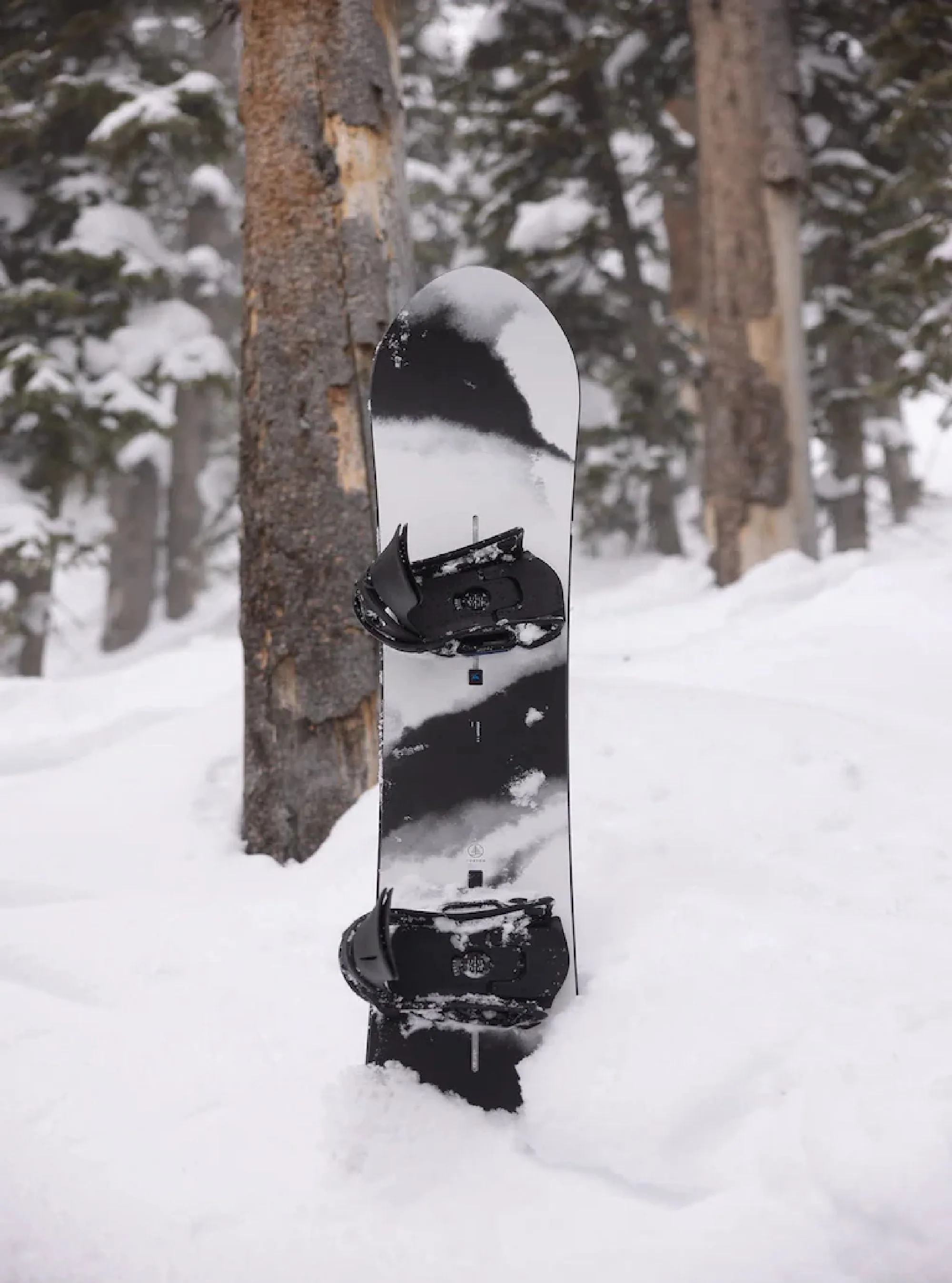 Burton Family Tree Alekesam Snowboard 2025