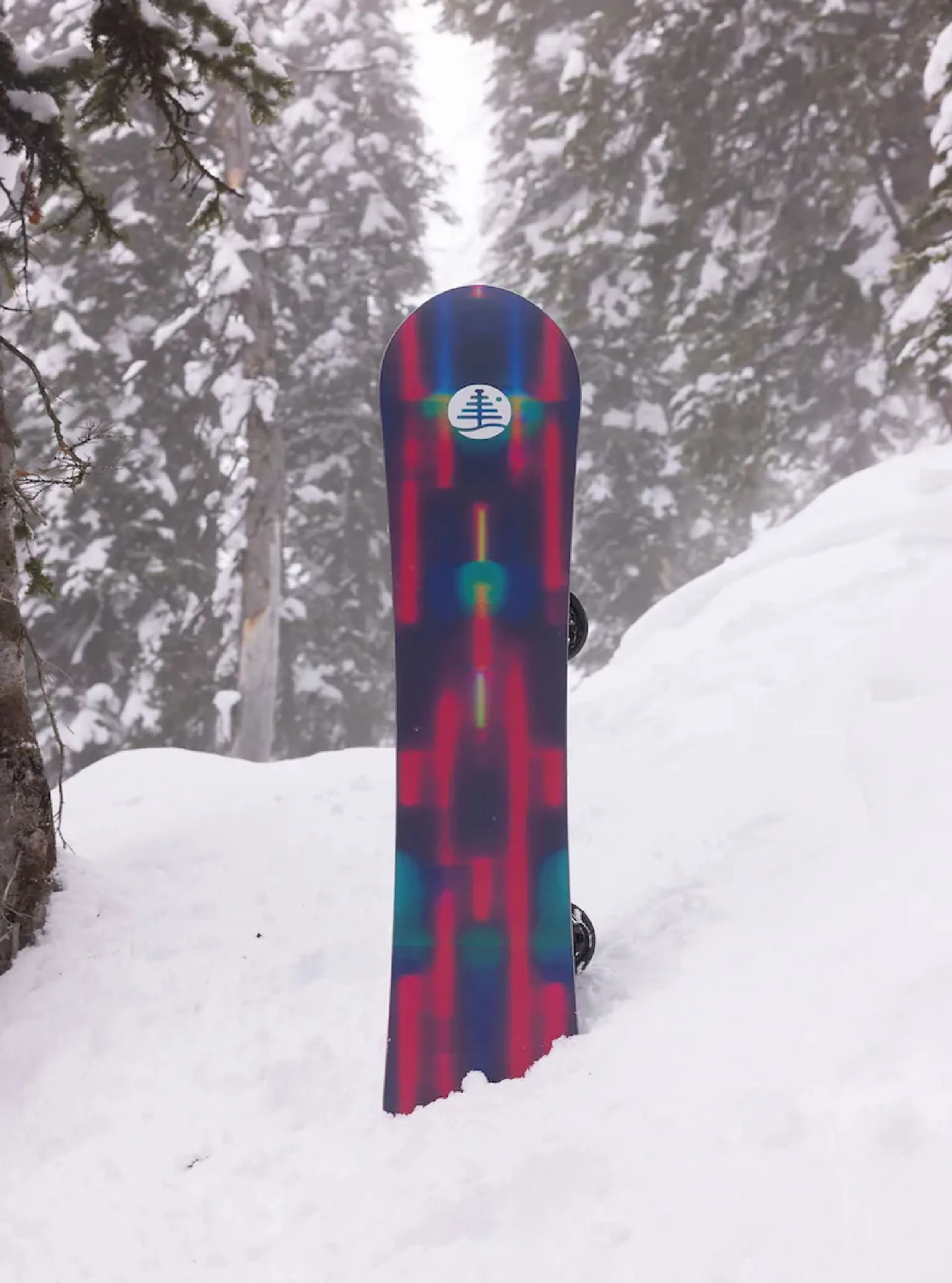 Burton Family Tree Alekesam Snowboard 2025