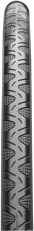Continental Grand Prix 4-Season Tire - 700 x 25 Clincher Folding BLK Vectran Breaker DuraSkin