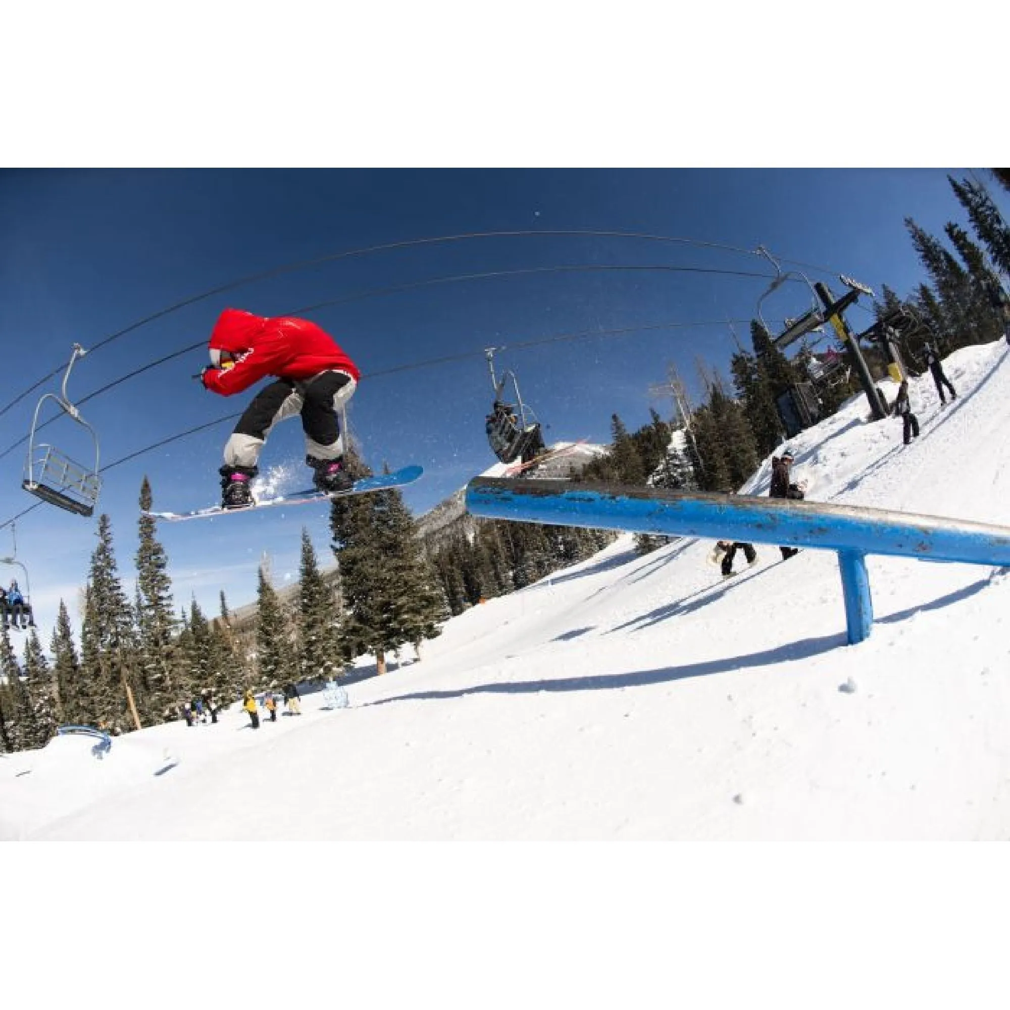GNU Women's Gloss-C Snowboard 2025