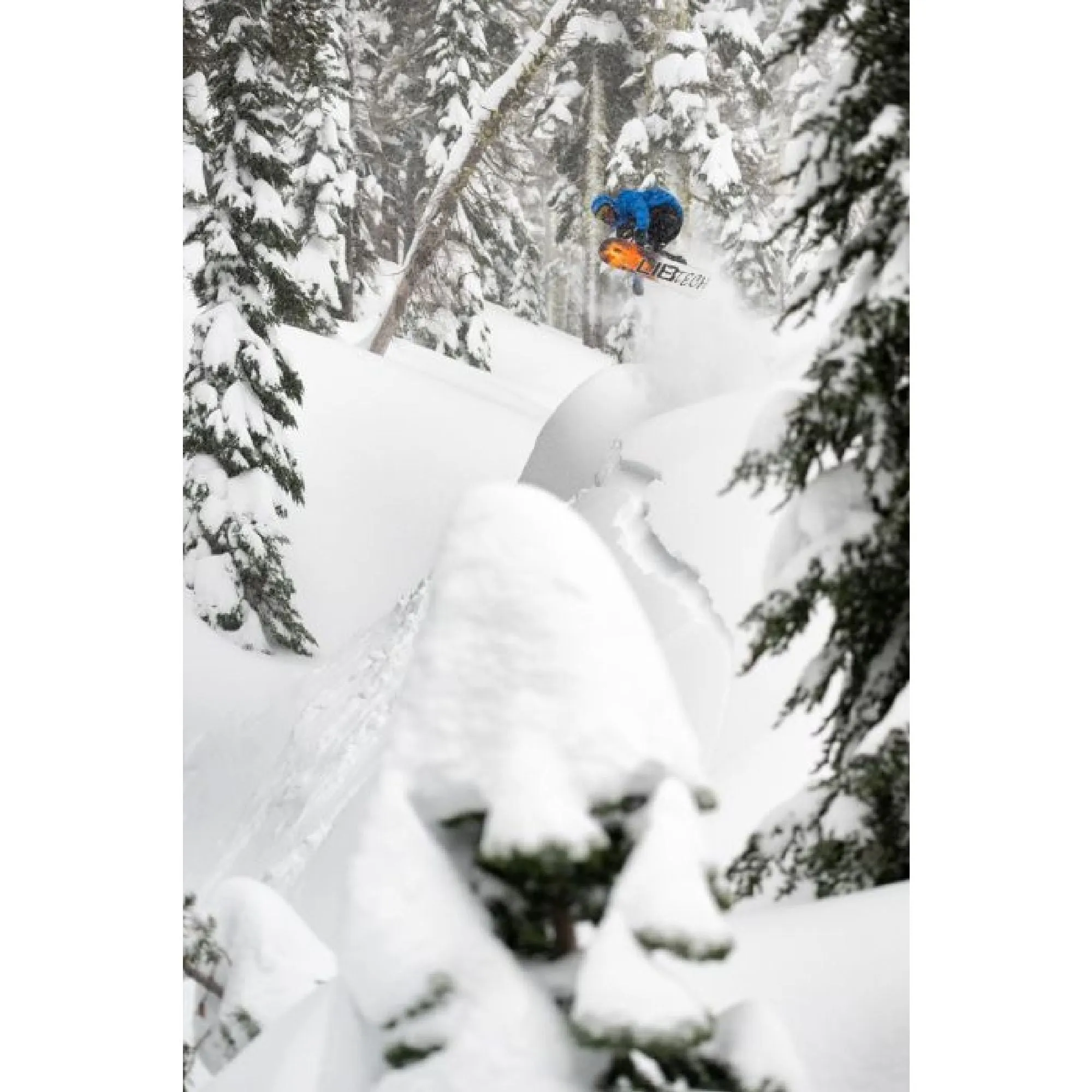 Lib Tech Dynamo Snowboard 2025