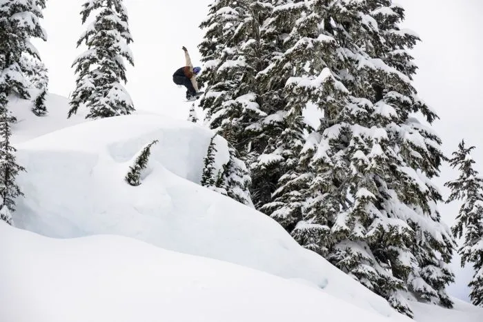 Lib Tech Skunk Ape Camber Snowboard 2025
