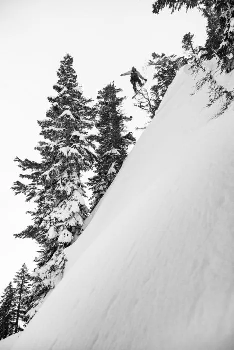 Lib Tech Skunk Ape Camber Snowboard 2025