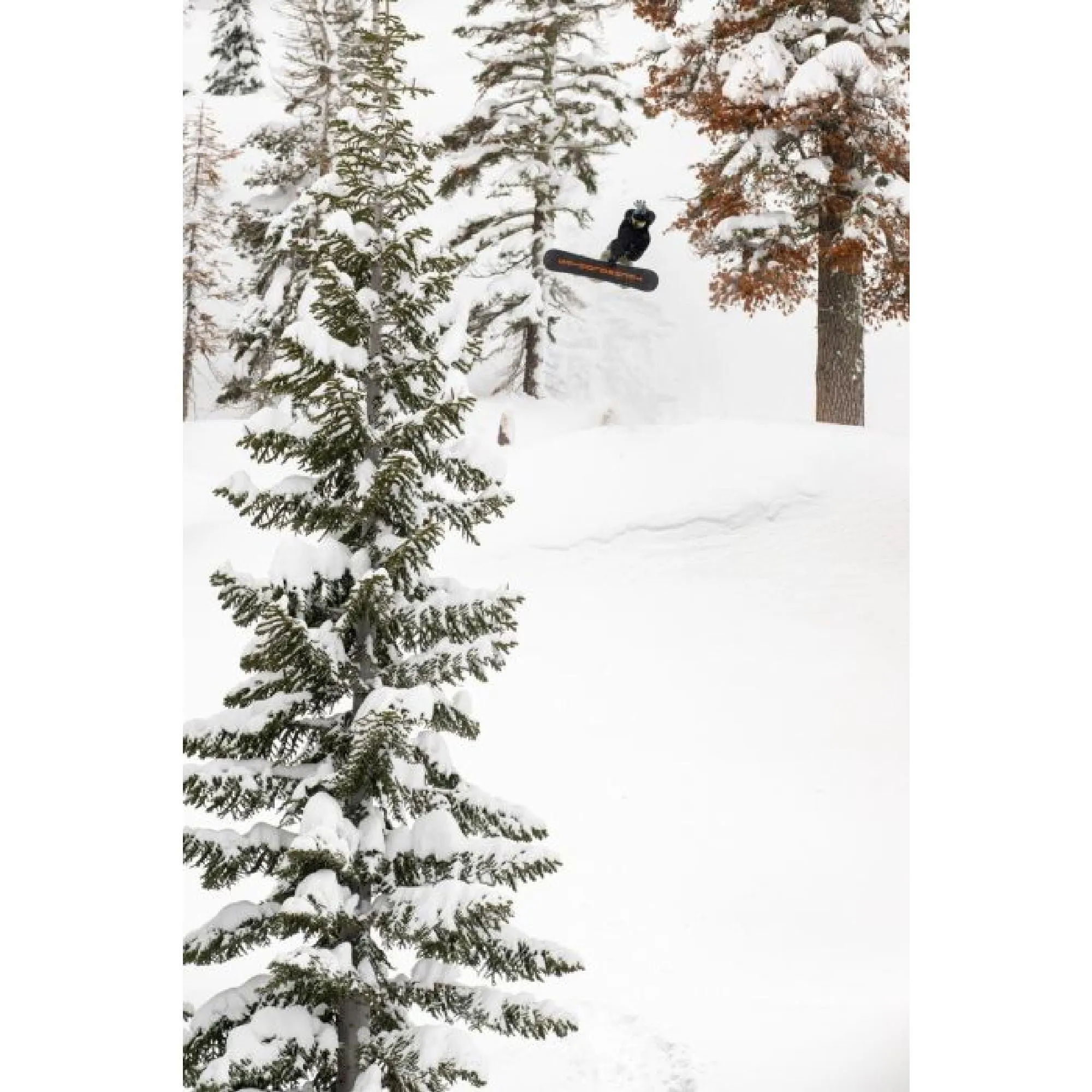 Lib Tech TRS Snowboard 2025