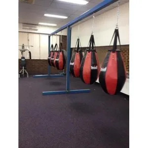 Morgan V2 Tear Drop Bag