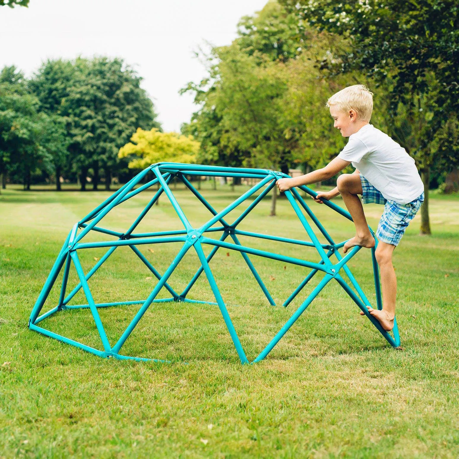 Plum Deimos Metal Climbing Dome - Teal
