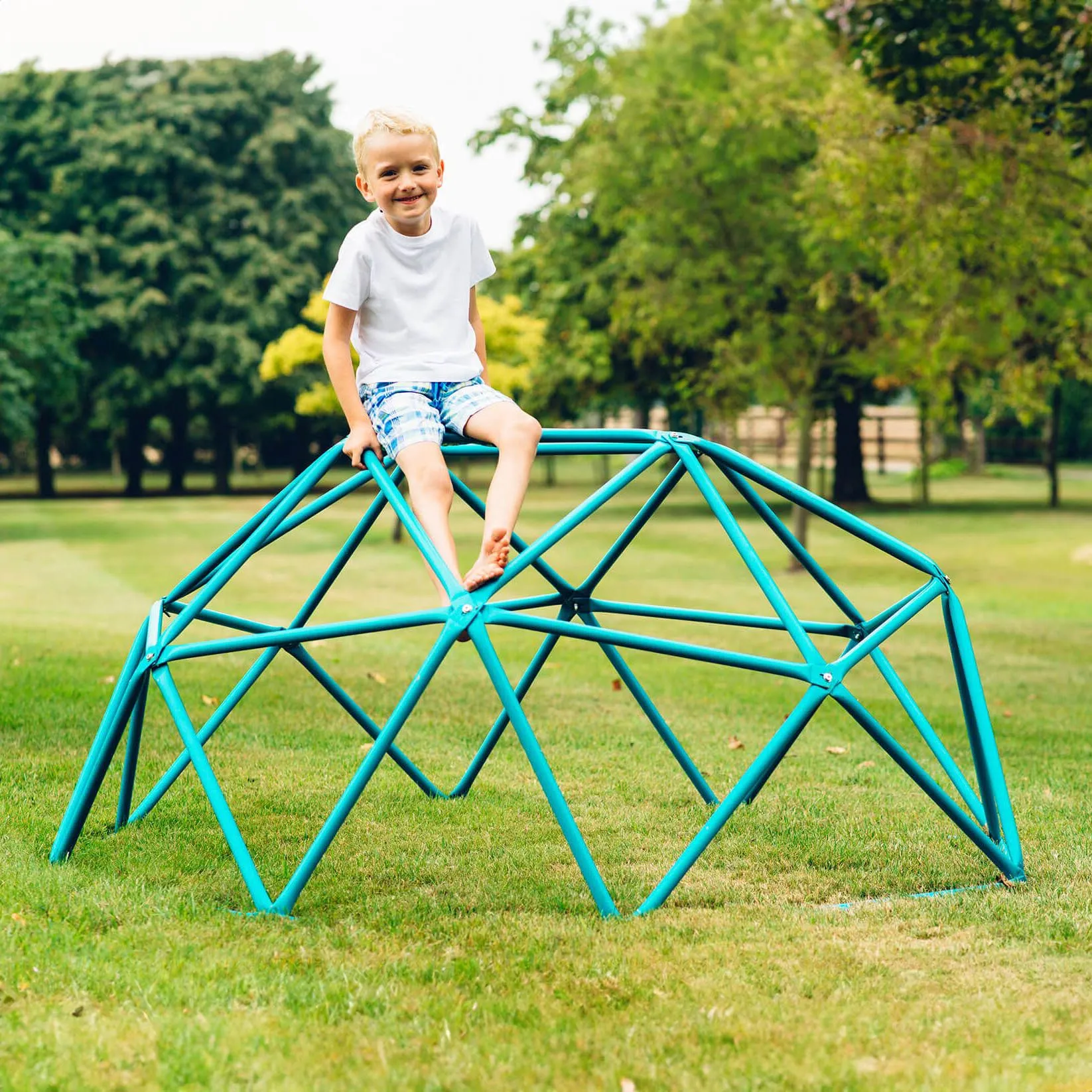 Plum Deimos Metal Climbing Dome - Teal