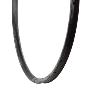 RaceFace ARC 25 Rim - 29" Disc Black 28H Offset