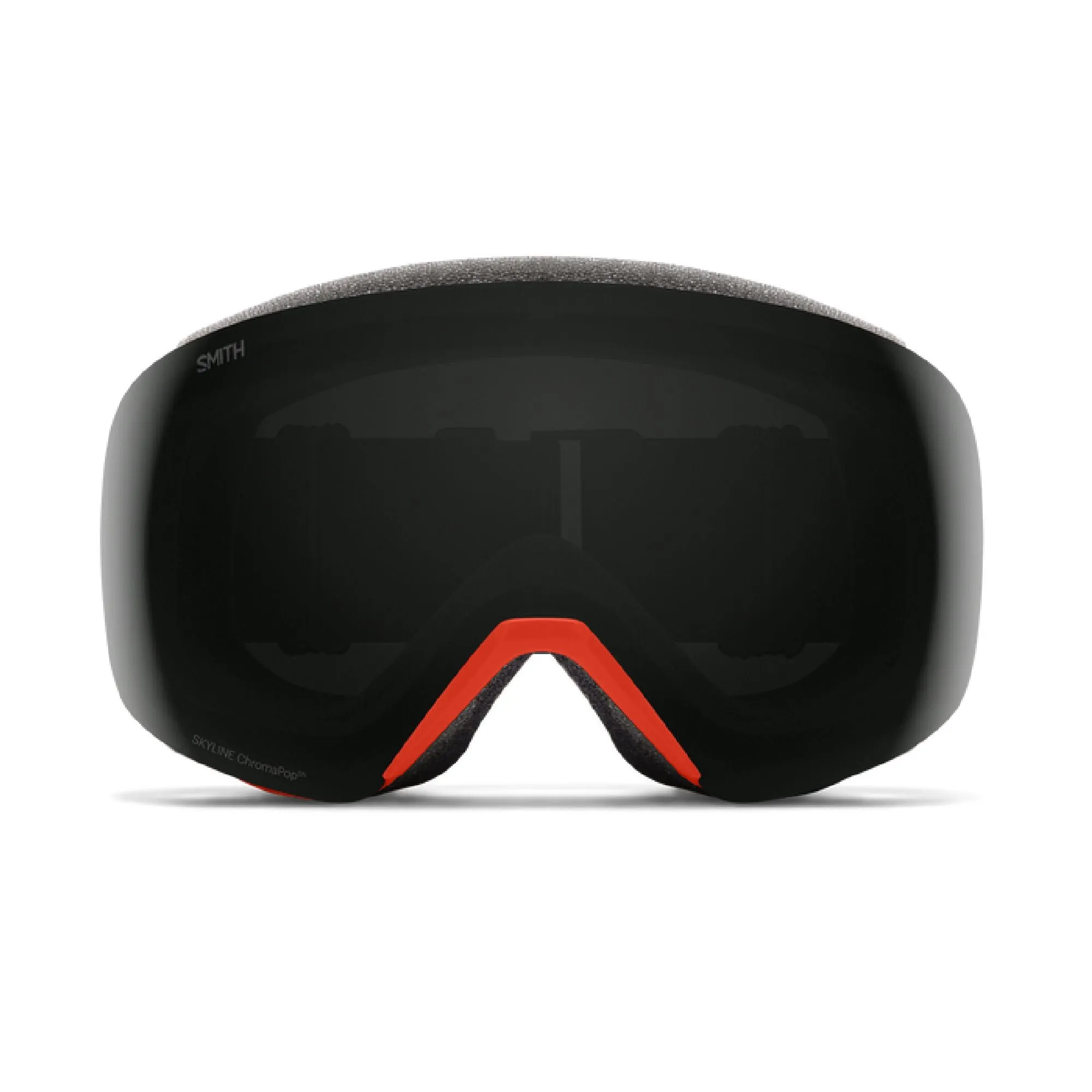 Smith Skyline Snow Goggle