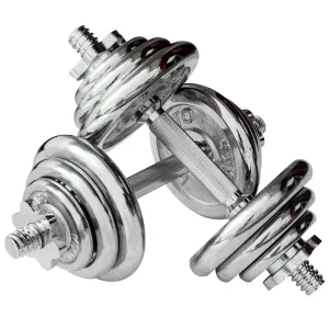 Viavito 20kg Chrome Dumbbell Set