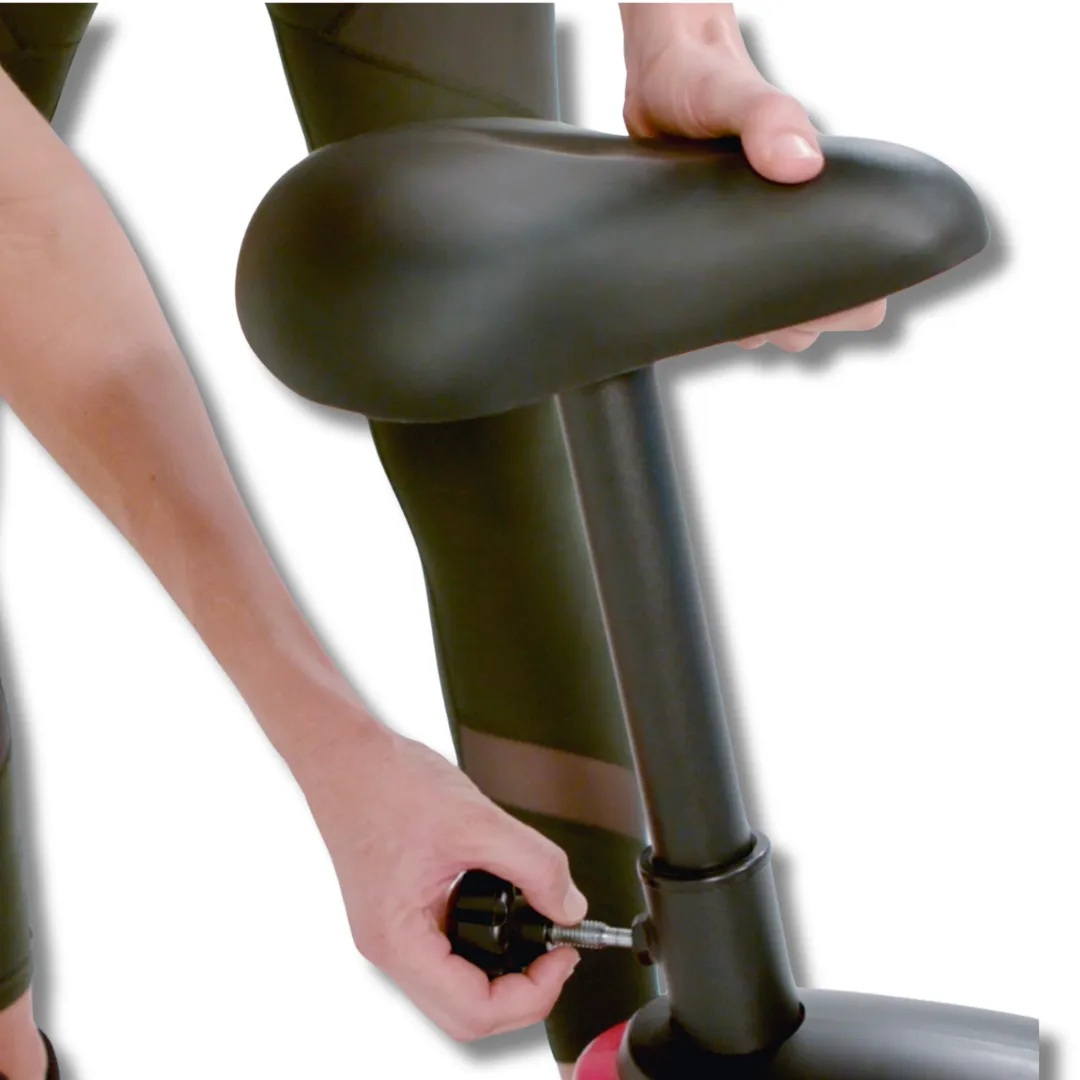 York Performance Upright Bike