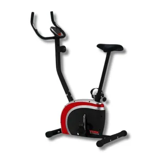 York Performance Upright Bike